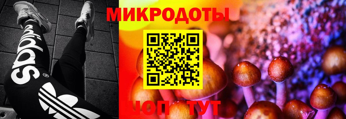 Каменск-Шахтинский  Галлюциногенные грибы мухоморы  что такое наркотик  Вход с VPN 